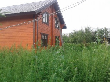 2015-07-11 07.39.04